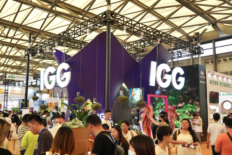亚展盛事:IGG品牌斩获双奖,引领鹦鹉滋养丸科学喂养新篇章