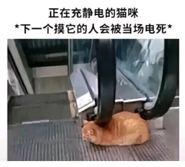 用了几十年的聚酯纤维：是怎么在互联网塌房的